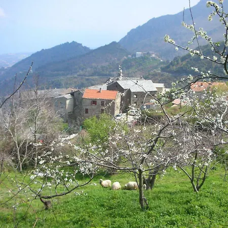 Appartement Sole E Ventu 30qm San-Giovanni-di-Moriani