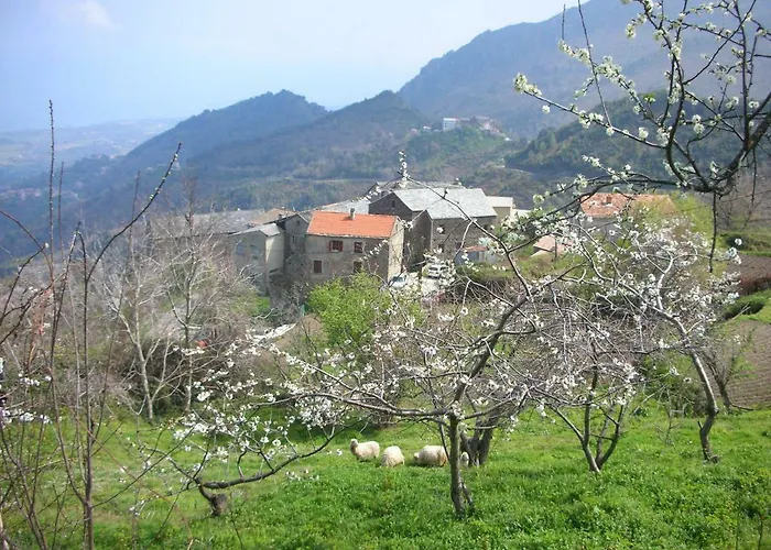 Appartement Sole E Ventu 30qm San-Giovanni-di-Moriani